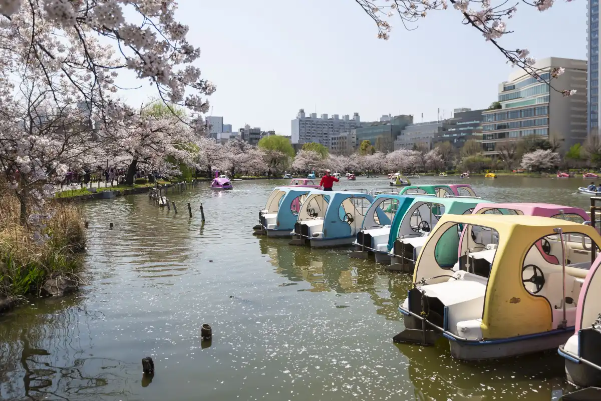 stagno del parco di ueno