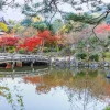Parco Maruyama Kyoto in autunno con ponte in pietra e foglie rosse di acero giapponese.