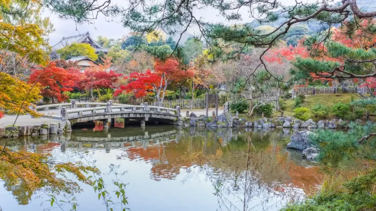 Parco Maruyama Kyoto in autunno con ponte in pietra e foglie rosse di acero giapponese.