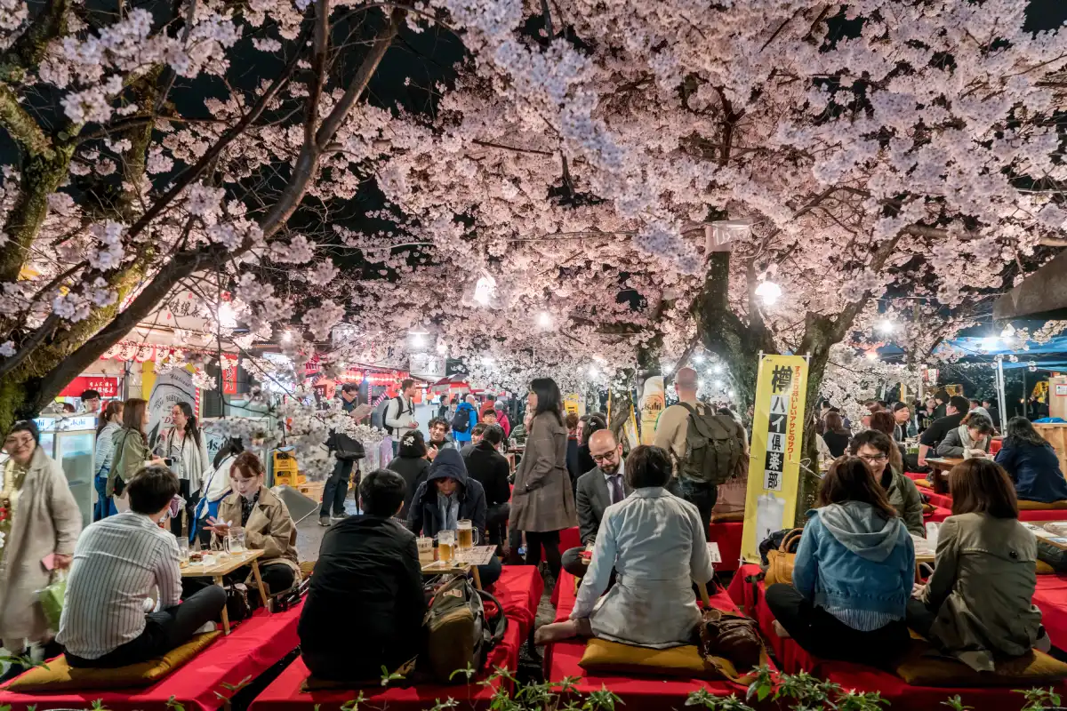 Hanami al Parco Maruyama Kyoto con persone che festeggiano sotto i ciliegi in fiore illuminati.