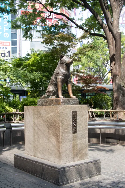 statua Hachiko shibuya