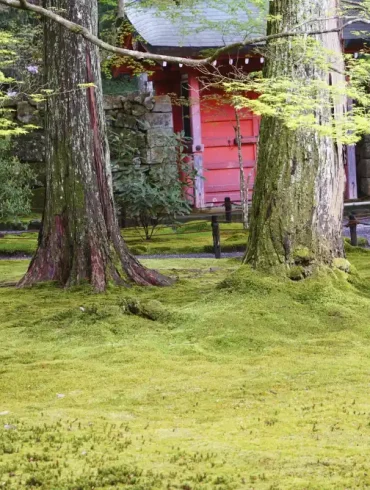 ohara giappone (1)