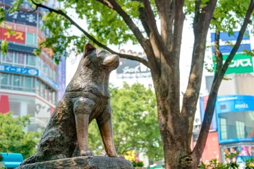 statua hachiko giappone
